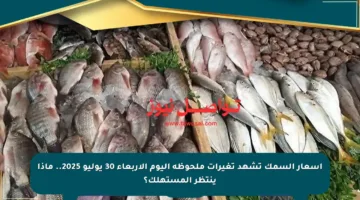 أسعار السمك تشهد تغيرات ملحوظة اليوم الأربعاء 30 يوليو 2025.. ماذا ينتظر المستهلك؟
